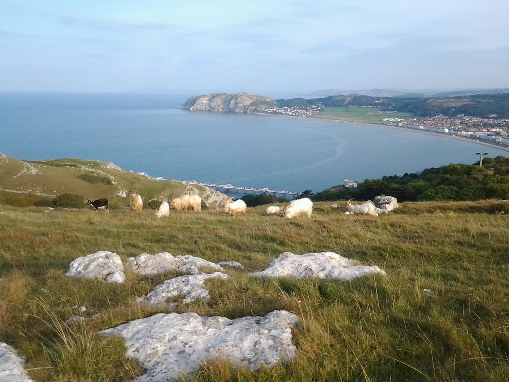 Clifton Villa Guest House Llandudno Luaran gambar
